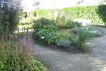 Heilkräutergarten