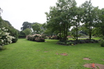 Jardin Shamrock
