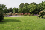 Jardin Shamrock