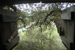 Blick aus dem Baumhaus