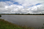 Loire bei  Montjean-sur-Loire