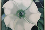 Georgia O'Keeffe: Jimson Weed / White Flower 1