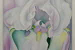 Georgia O'Keeffe: White Iris
