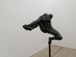 August Rodin: Iris