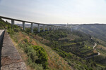 Viaduto do Corgo (Autobahnbrücke)