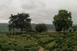 Les Jardins de Marqueyssac