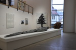 Christo: Wrapped Tree